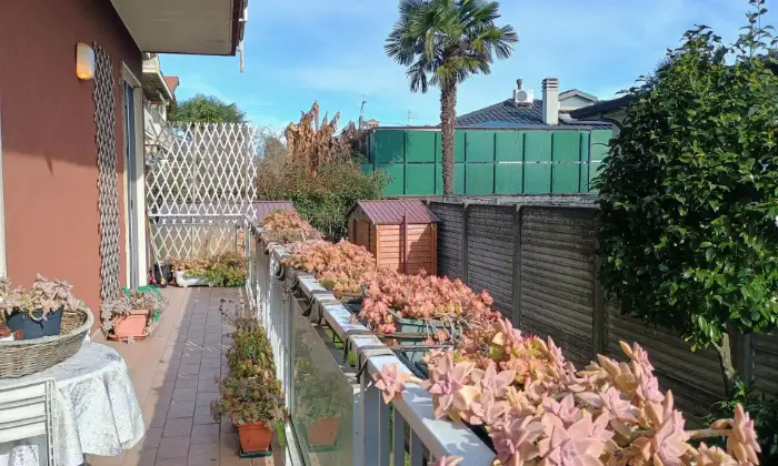Rexer-Gorla-Maggiore-Trilocale-in-piccolo-condominio-con-basse-spese-Altro