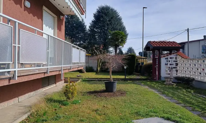 Rexer-Gorla-Maggiore-Trilocale-in-piccolo-condominio-con-basse-spese-Altro