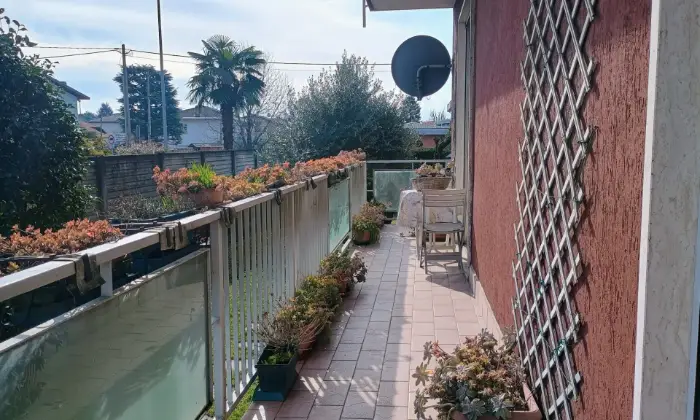Rexer-Gorla-Maggiore-Trilocale-in-piccolo-condominio-con-basse-spese-Altro