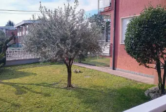 Rexer-Gorla-Maggiore-Trilocale-in-piccolo-condominio-con-basse-spese-Altro