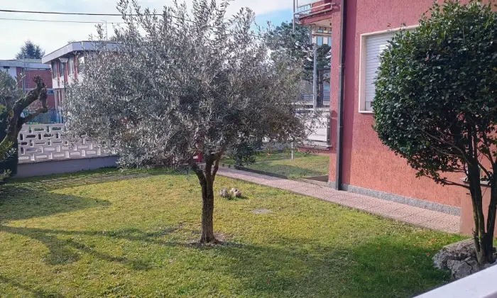 Rexer-Gorla-Maggiore-Trilocale-in-piccolo-condominio-con-basse-spese-Altro