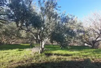 Rexer-Carini-Vendesi-Villa-Unifamiliare-Panoramica-a-Carini-Altro