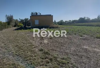 Rexer-San-Giovanni-Suergiu-In-vendita-Rudere-con-terreno-a-San-Giovanni-Suergiu-SU-Altro