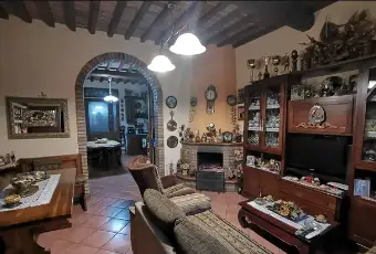 Rexer-Chientina-Vendesi-Terratetto-su-liveli-a-Terricciola-PI-Altro