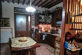 Rexer-Chientina-Vendesi-Terratetto-su-liveli-a-Terricciola-PI-Altro