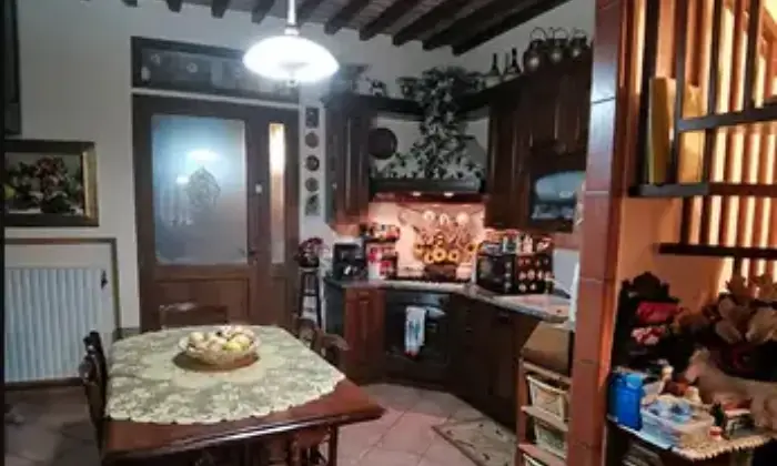 Rexer-Chientina-Vendesi-Terratetto-su-liveli-a-Terricciola-PI-Altro