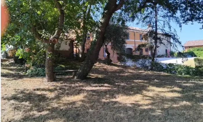Rexer-Vergineto-Vendesi-casa-di-campagna-a-Terre-Roveresche-Altro