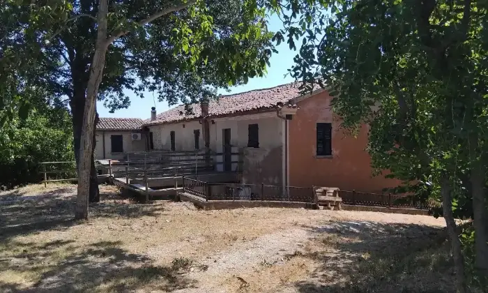 Rexer-Vergineto-Vendesi-casa-di-campagna-a-Terre-Roveresche-Altro