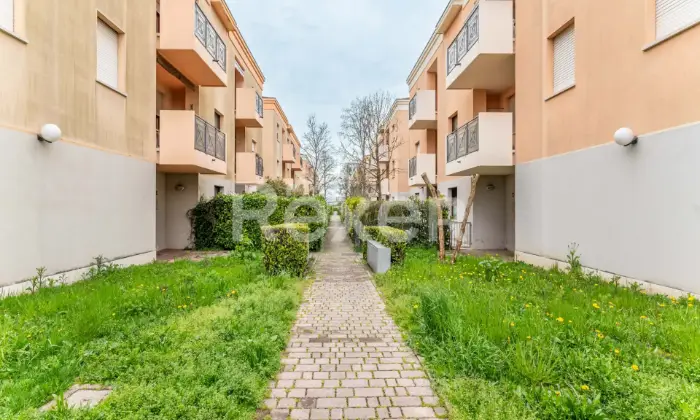 Rexer-Legnaro-Appartamento-ad-uso-investimento-Altro