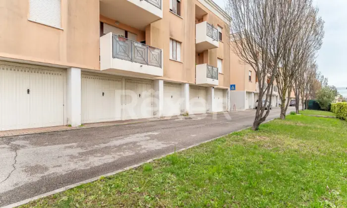 Rexer-Legnaro-Appartamento-ad-uso-investimento-Altro