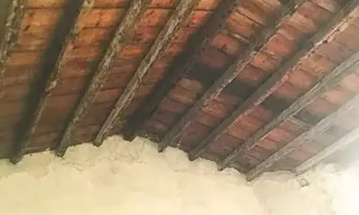 Rexer-Trabia-Vendesi-casa-da-ristrutturare-a-Trabia-PA-Altro