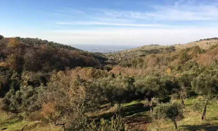 Rexer-Norma-Vendesi-casale-a-Norma-LT-Altro