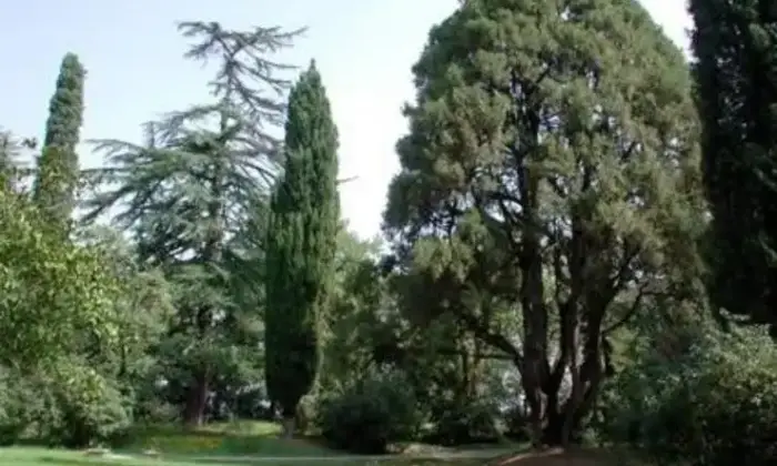 Rexer-Acquaviva-Vendesi-Porzione-di-Villa-dEpoca-a-Montepulciano-SI-Altro