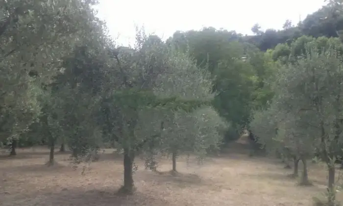Rexer-Lanciano-Vendesi-rustico-a-Lanciano-Altro
