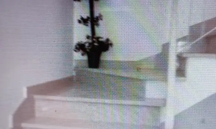 Rexer-Irsina-Vendesi-Casa-indipendente-a-Irsina-Altro