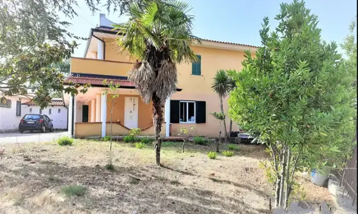 Rexer-Foria-Vendesi-Villa-immerse-nel-verde-a-Centola-Altro