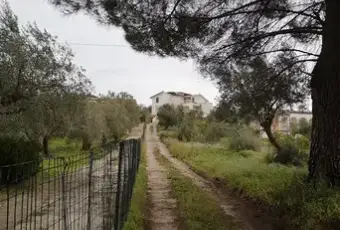 Rexer-Barrafranca-Vendesi-Villetta-in-ristrutturazione-a-Barrafranca-EN-Altro