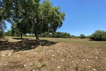 Rexer-Noto-Rustico-in-vendita-a-Noto-Altro