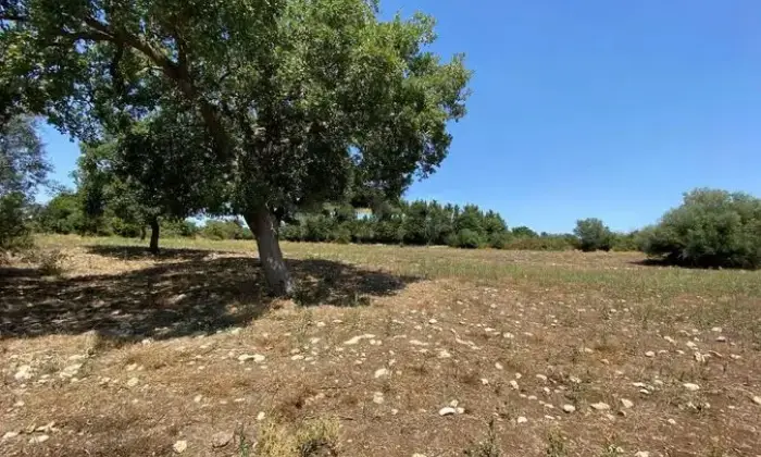 Rexer-Noto-Rustico-in-vendita-a-Noto-Altro