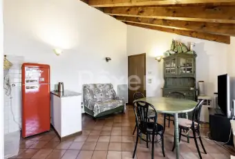 Rexer-Treviso-Mini-appartamento-a-Treviso-Altro