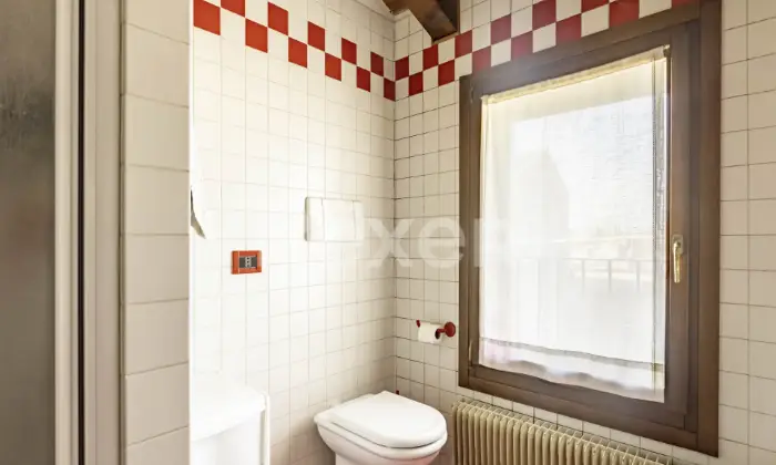 Rexer-Treviso-Mini-appartamento-a-Treviso-Altro