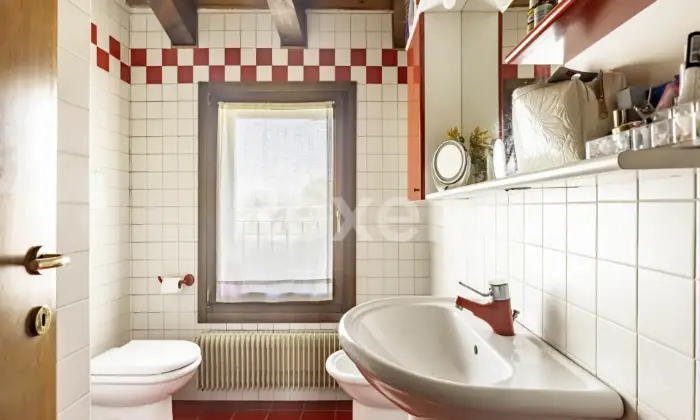 Rexer-Treviso-Mini-appartamento-a-Treviso-Altro