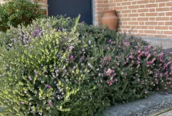 Rexer-Candelo-Villa-di-ampia-metratura-con-finiture-di-pregio-Terrazzo