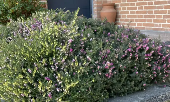 Rexer-Candelo-Villa-di-ampia-metratura-con-finiture-di-pregio-Terrazzo