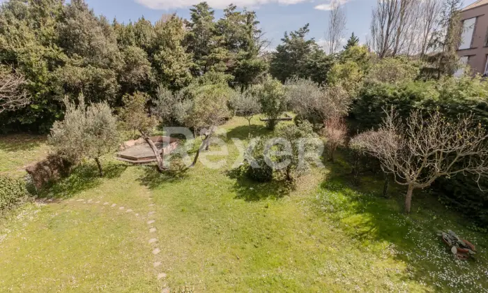Rexer-Arenzano-Case-del-Golf-appartamento-con-box-e-cantina-Altro