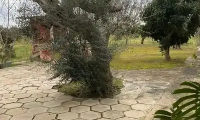 Rexer-Copertino-Vendesi-elegante-villa-a-Copertino-Altro