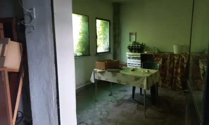 Rexer-Fondotoce-Capannone-con-piccola-abitazione-annessa-Altro