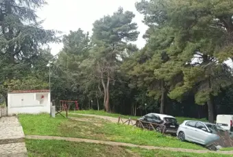 Rexer-Peschici-Vendesi-Villetta-a-Peschici-Altro