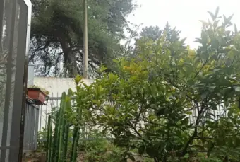 Rexer-Peschici-Vendesi-Villetta-a-Peschici-Altro