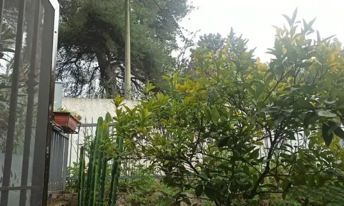 Rexer-Peschici-Vendesi-Villetta-a-Peschici-Altro