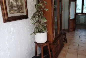 Rexer-Scansano-Vendesi-Appartamento-bifamiliare-a-Scansano-Altro