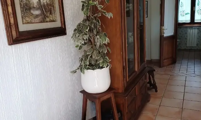 Rexer-Scansano-Vendesi-Appartamento-bifamiliare-a-Scansano-Altro