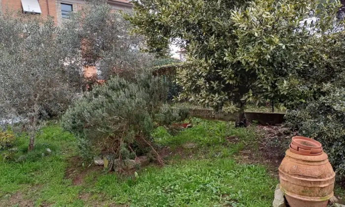Rexer-Scansano-Vendesi-Appartamento-bifamiliare-a-Scansano-Altro