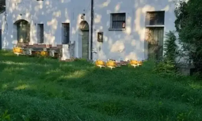 Rexer-Forl-Vendesi-Rustico-a-Forl-Altro