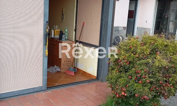 Rexer-Colleferro-Vendesi-Villa-con-Giardino-e-Garage-Via-degli-Abetti-Colleferro-Altro