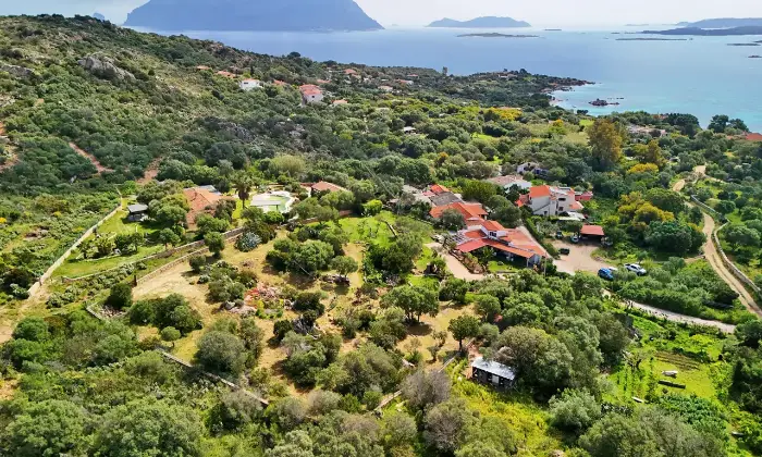 Rexer-Olbia-Villa-con-ampio-giardino-privato-Altro