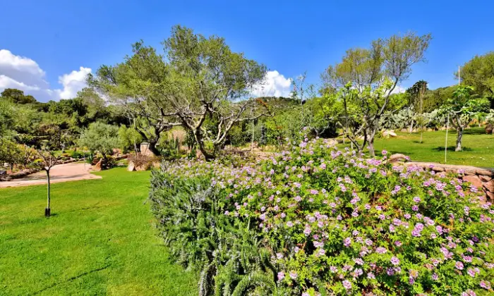 Rexer-Olbia-Villa-con-ampio-giardino-privato-Altro