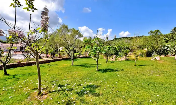 Rexer-Olbia-Villa-con-ampio-giardino-privato-Altro