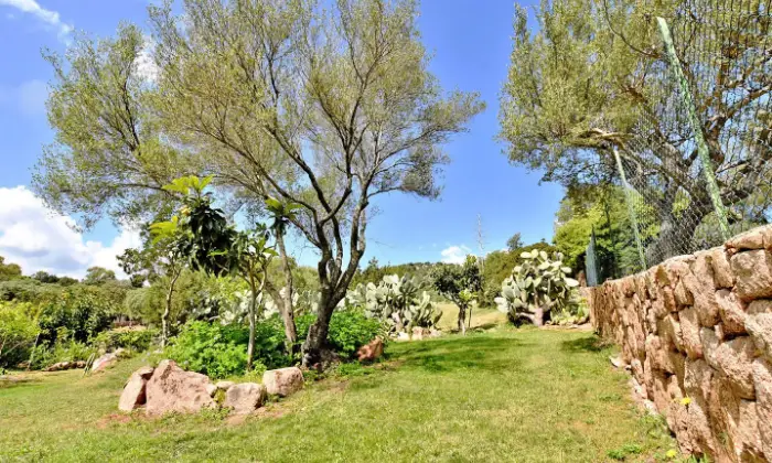 Rexer-Olbia-Villa-con-ampio-giardino-privato-Altro