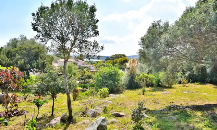 Rexer-Olbia-Villa-con-ampio-giardino-privato-Altro