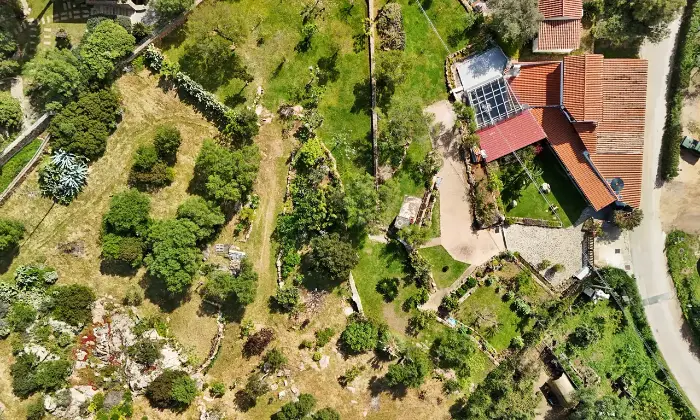 Rexer-Olbia-Villa-con-ampio-giardino-privato-Altro
