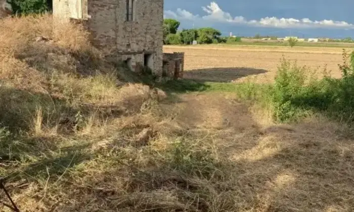 Rexer-Gatteo-Vendesi-rustico-a-Gatteo-Altro