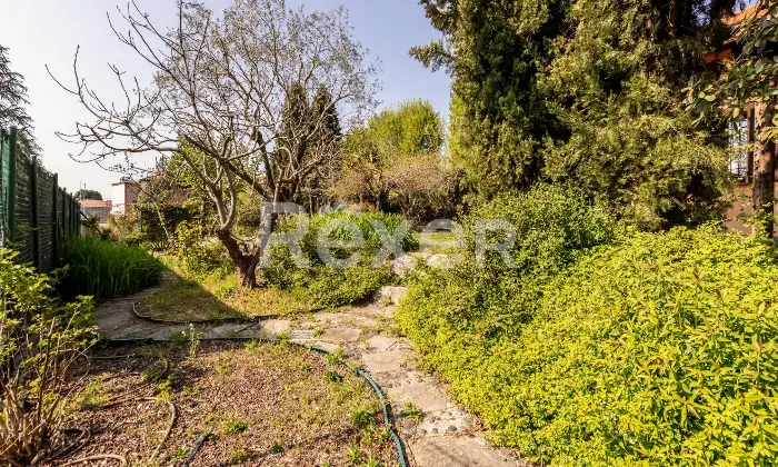 Rexer-Camparada-Ampia-Villa-con-piscina-Altro