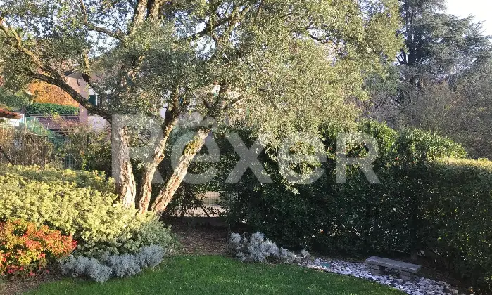 Rexer-Camparada-Ampia-Villa-con-piscina-Altro