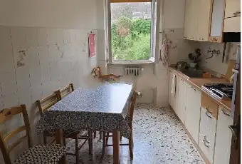 Rexer-Ascoli-Piceno-Vendesi-Appartamento-a-Ascoli-Piceno-Altro