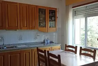 Rexer-Roccaspinalveti-Vendesi-Appartamento-a-Roccaspinalveti-Altro